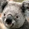 Patrick Desalvo - @p.d471 - TikTok