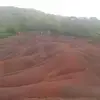 Patrick Desire - @patrick.desire0 - TikTok