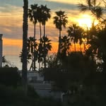 Patrick Detchman - @patrickdetchman - Instagram
