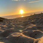 Patrick Dever Olmstead - @patrick.olmstead.98 - Instagram