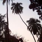 Patrick Dewaere - @patrickdewaere - Instagram