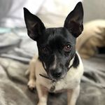 Dilla Patrick - @dilla.patrick - Instagram