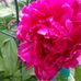 Patrick Dishinger - Facebook