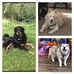 Patrick Diskin - Facebook