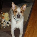Patrick Dobbins - @pdobbins657 - Instagram