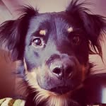 Patrick Doig - @doigerooney - Instagram