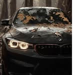 Patrick Domanico - @patrick.domanico - Instagram