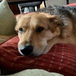 Patrick Donahoe - @patd10 - Instagram