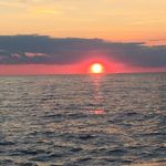 Patrick Donegan - @patrick.donegan.543 - Instagram