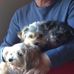 Patrick Donofrio Sr. - Facebook