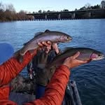 Patrick Donovan - @patrickdonovan9148 - Instagram