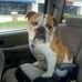 Patrick Doolittle - Facebook