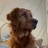 Patrick Doran - @patrick.doran6 - TikTok