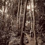 Patrick Dorian - @dorian.patrick.j - Instagram