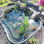 Dorner Patrick - Facebook