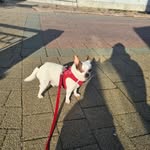 Patrick Dorner - @dornerpatrick3 - Instagram