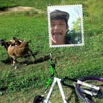 Patrick Doro - @patrick_doro - Instagram