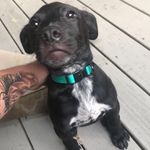 Patrick Dotson - @youknoww172 - Instagram