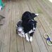 Patrick Dougan - Facebook