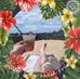Patrick Dougherty - Facebook