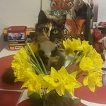 Patrick Doughty - @tiny_doughty - Instagram