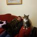 Patrick Dove - Facebook