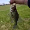patrickdowell2279 - @patrickdowell2279 - TikTok
