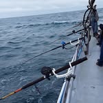 Patrick Downes - @patrick.downes.7792 - Instagram