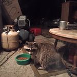 Patrick Downs - @patrick.downs.712 - Instagram