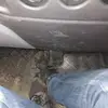Patrick Doyle - @patrick.doyle73 - TikTok