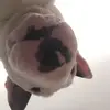 Patrick Dugan - @patrickdugan3 - TikTok