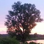 Patrick Dukes - @skimn.dewey.68 - Instagram