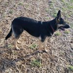 Patrick Dunning - @rpdunning - Instagram