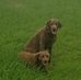 Patrick Dunning Dunning - Facebook