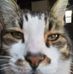 Patrick Dupre - Facebook