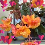 Patrick Dourst - Facebook