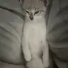 Patrick Dwyer - @patrick_dwyer01 - TikTok