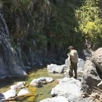 Patrick Eastwood - @patrickeastwood909 - Instagram