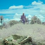 Patrick Edmond - @pjshedmond - Instagram