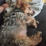 Patrick Elder - @p_lder - Instagram