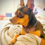 Patrick Ellison - Facebook