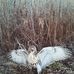 Patrick Ellsworth - Facebook