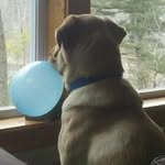 Patrick Emerson - @patrick.emerson.5832 - Instagram