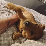 Patrick Emerson - @patrickemerson587 - Instagram