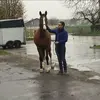 patrickenglert8 - @patrickenglert8 - TikTok