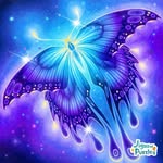 Patrick Erdman - @lunarmagic335 - Instagram