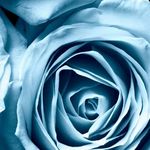 patrick erhardt - @patairheart - Instagram