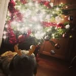 Patrick Ericson - @weweki4262 - Instagram