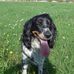 Patrick Ernst - Facebook