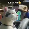 PatrickESQUIBEL - @patrick_esquibel7708 - TikTok